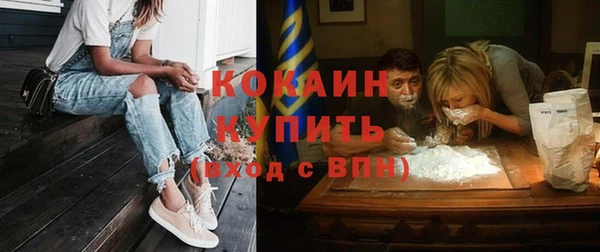 крисы Рыльск