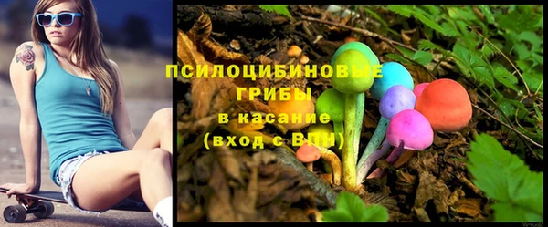крисы Рыльск