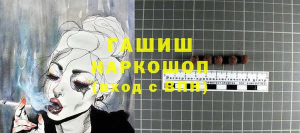 шишки Сясьстрой