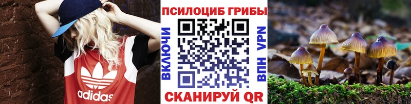 blacksprut вход  Щёлкино  Псилоцибиновые грибы MAGIC MUSHROOMS 